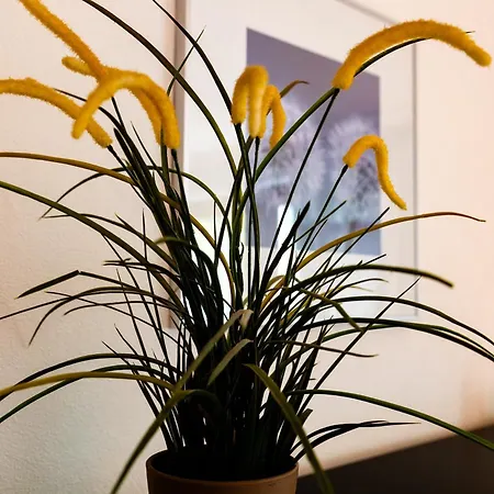 Apartment 2p Au Belvedere *